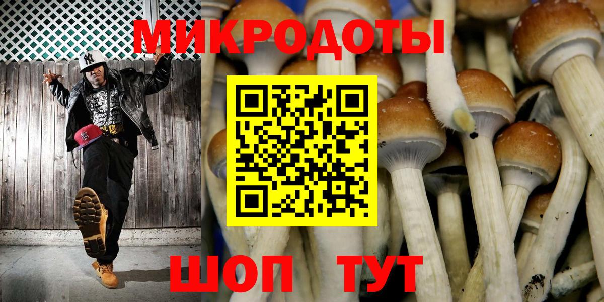 Галлюциногенные грибы прущие грибы  Псилоцибиновые грибы GOLDEN TEACHER  Ртищево  Вход с VPN 